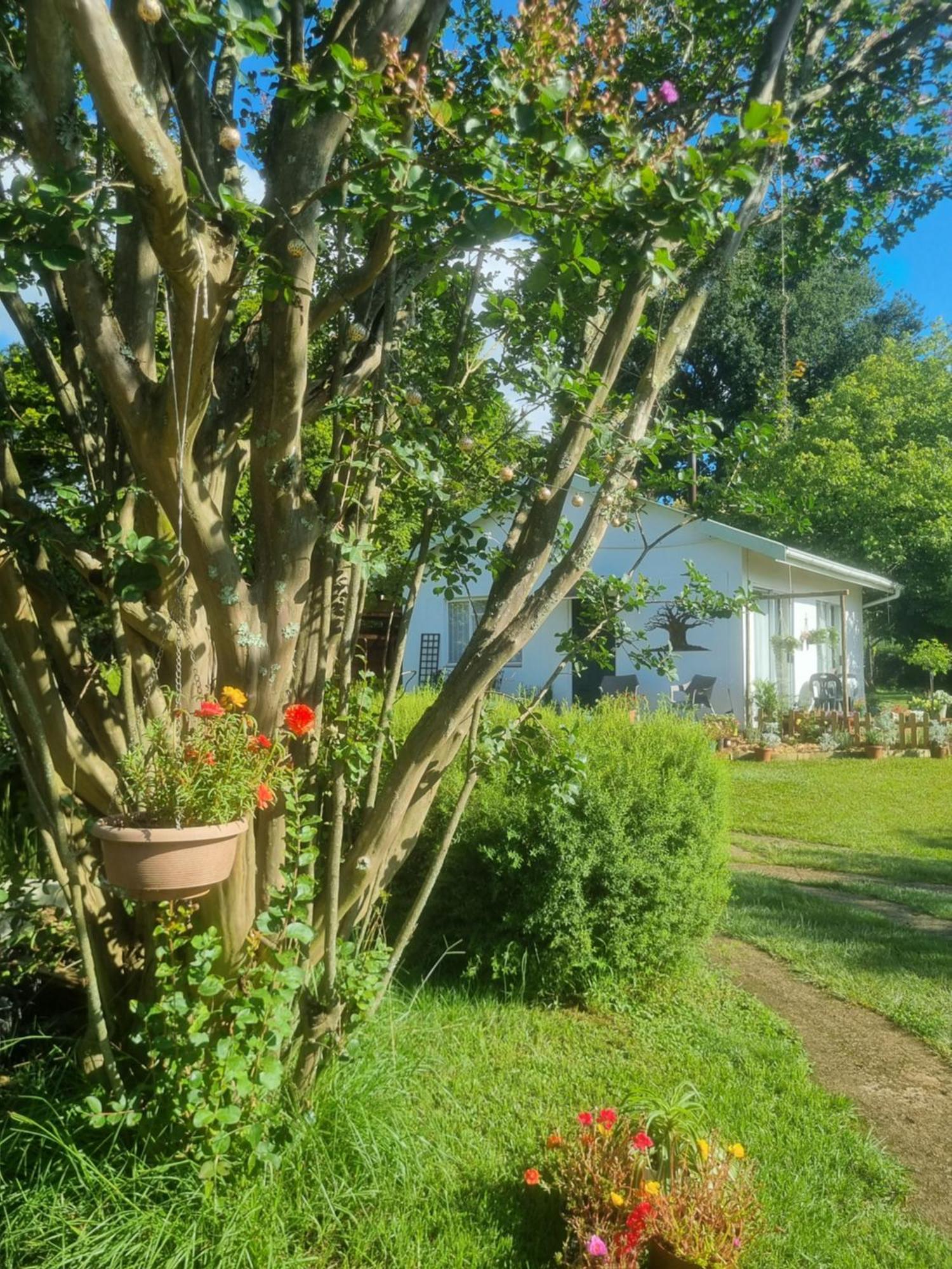 The Cottage On The Corner Himeville Luaran gambar